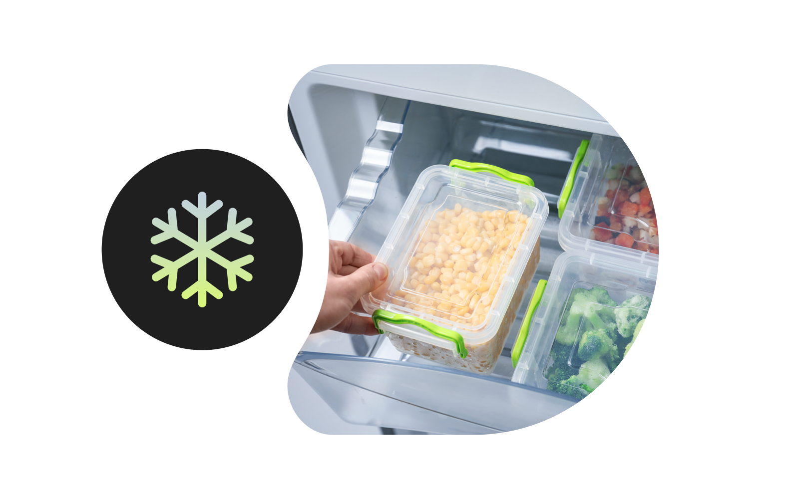 Groenten in de LG-koelkast